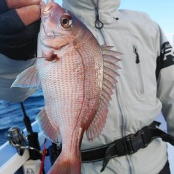 新幸丸 釣果
