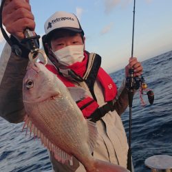 だて丸 釣果