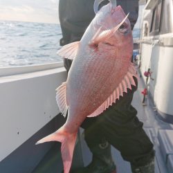 だて丸 釣果