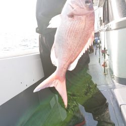 だて丸 釣果