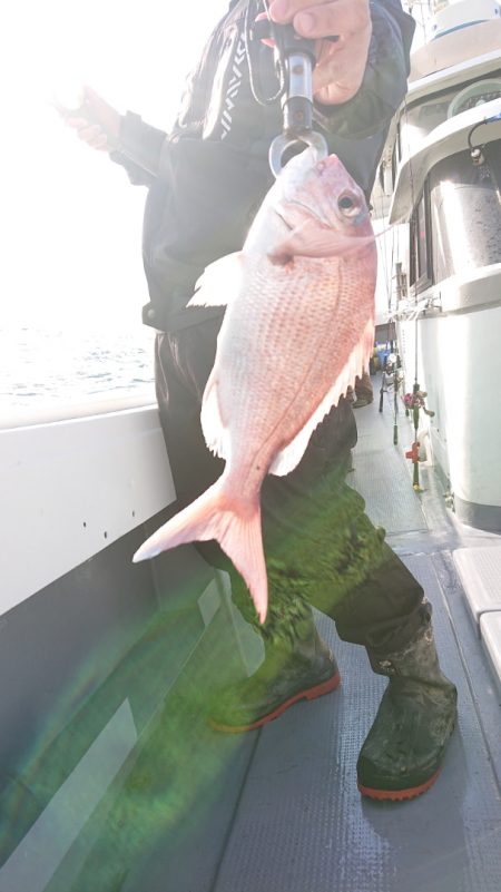 だて丸 釣果
