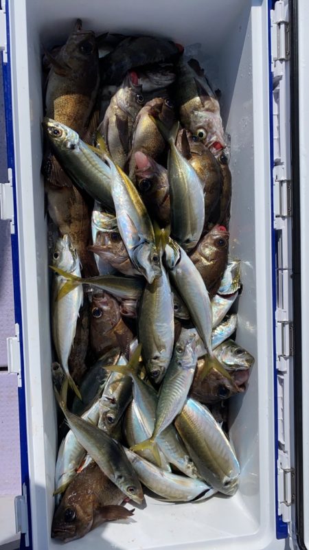 海龍丸（石川） 釣果