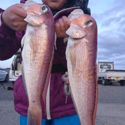 第三共栄丸 釣果