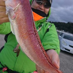 第三共栄丸 釣果