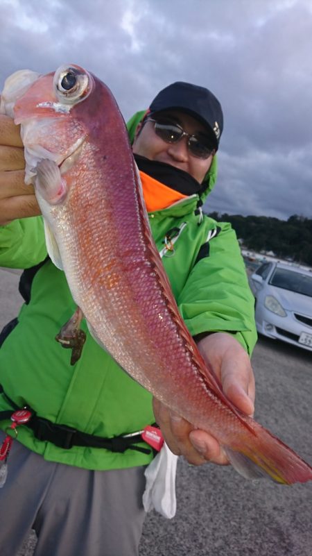 第三共栄丸 釣果