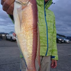 第三共栄丸 釣果