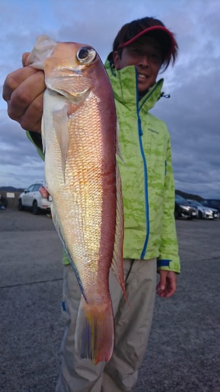 第三共栄丸 釣果