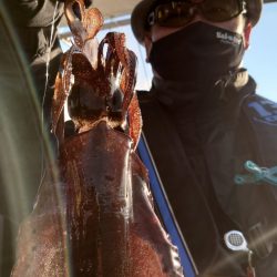 シースナイパー海龍 釣果