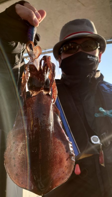 シースナイパー海龍 釣果