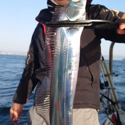 シースナイパー海龍 釣果