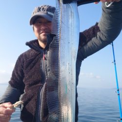 シースナイパー海龍 釣果