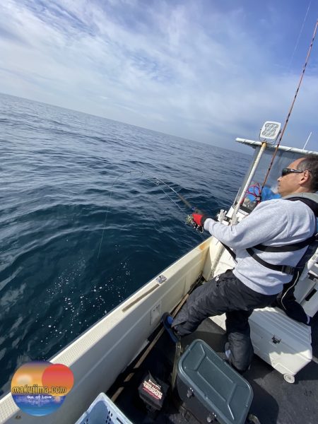 幕島丸 釣果