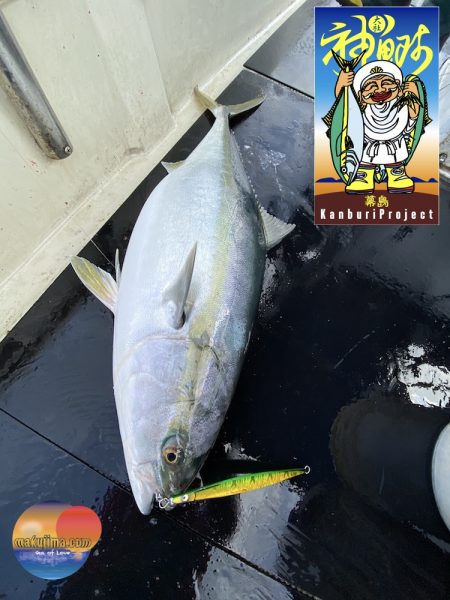 幕島丸 釣果