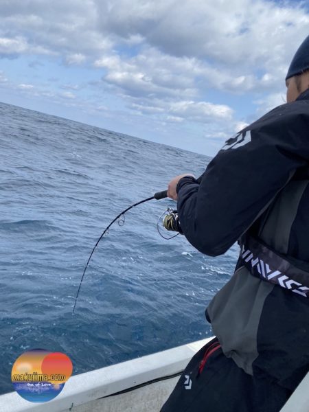 幕島丸 釣果