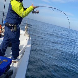 幕島丸 釣果