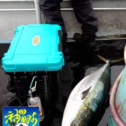 幕島丸 釣果