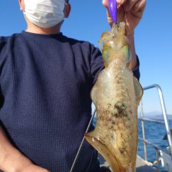 シースナイパー海龍 釣果