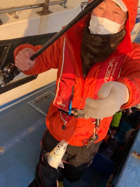 ヤザワ渡船 釣果