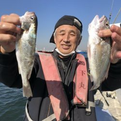 金沢八景鴨下丸 釣果