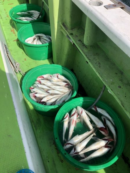 金沢八景鴨下丸 釣果