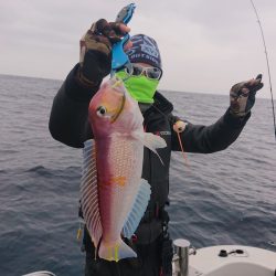 ARCADIAⅡ （アルカディアⅡ） 釣果