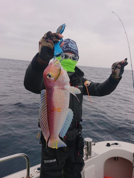 ARCADIAⅡ （アルカディアⅡ） 釣果