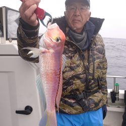 ARCADIAⅡ （アルカディアⅡ） 釣果