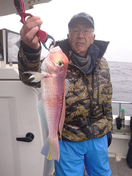 ARCADIAⅡ （アルカディアⅡ） 釣果