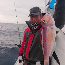 ARCADIAⅡ （アルカディアⅡ） 釣果