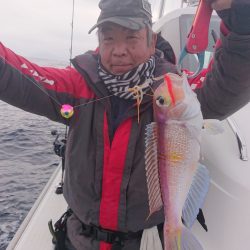 ARCADIAⅡ （アルカディアⅡ） 釣果