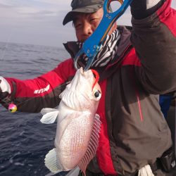 ARCADIAⅡ （アルカディアⅡ） 釣果