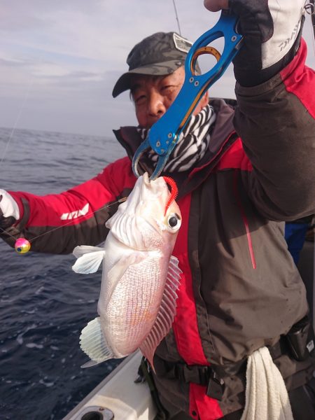 ARCADIAⅡ （アルカディアⅡ） 釣果