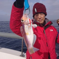 ARCADIAⅡ （アルカディアⅡ） 釣果