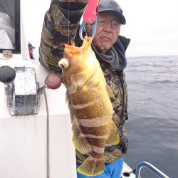 ARCADIAⅡ （アルカディアⅡ） 釣果