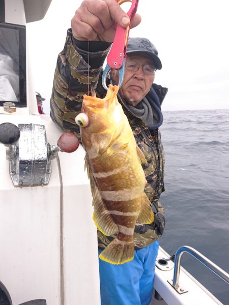 ARCADIAⅡ （アルカディアⅡ） 釣果