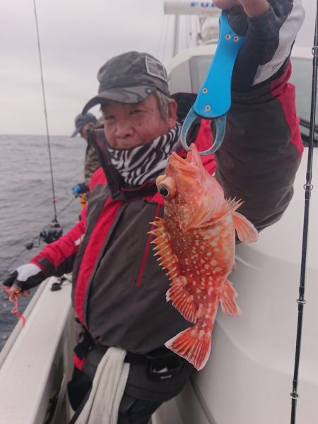 ARCADIAⅡ （アルカディアⅡ） 釣果