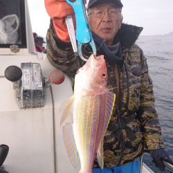 ARCADIAⅡ （アルカディアⅡ） 釣果