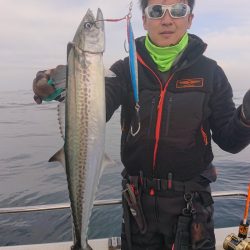 ARCADIAⅡ （アルカディアⅡ） 釣果