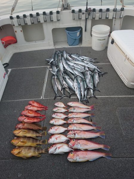 ARCADIAⅡ （アルカディアⅡ） 釣果