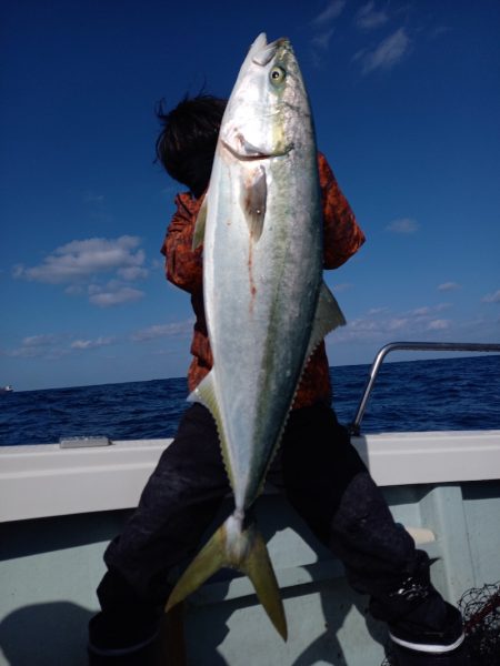 アマテラス 釣果