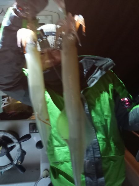 アマテラス 釣果