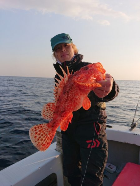 エンペラー 釣果