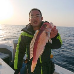 エンペラー 釣果