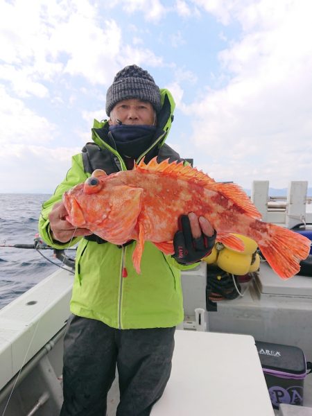 エンペラー 釣果