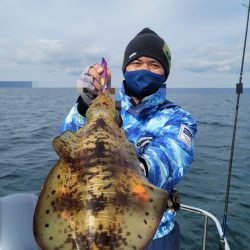 ソルトウォーターガイドフレンズ 釣果