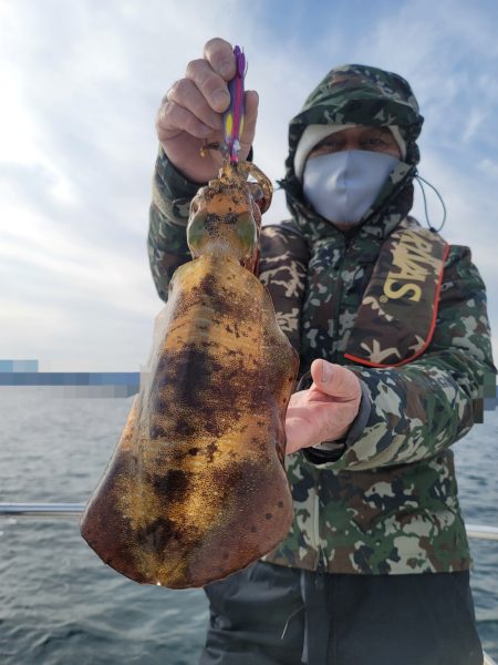 ソルトウォーターガイドフレンズ 釣果