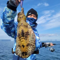 ソルトウォーターガイドフレンズ 釣果