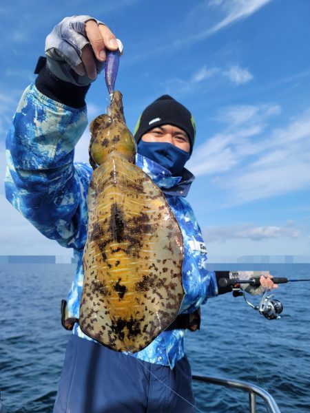 ソルトウォーターガイドフレンズ 釣果