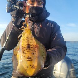 ソルトウォーターガイドフレンズ 釣果