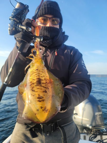 ソルトウォーターガイドフレンズ 釣果